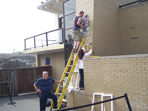 Curator Patrick Dennis installing ceramic mural panels with Jennifer Wade and Tex at the NY Aquarium in Brooklyn.