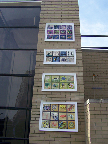 The panels are arranged and installed by color on the walls of the NY Aquarium bordering the Aqua theater.