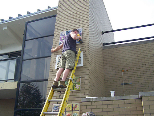 Patrick Dennis installing purple series of works at the New York Aquarium in Coney Island.